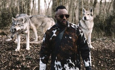 Mac Tyer - Le Loup Solitaire