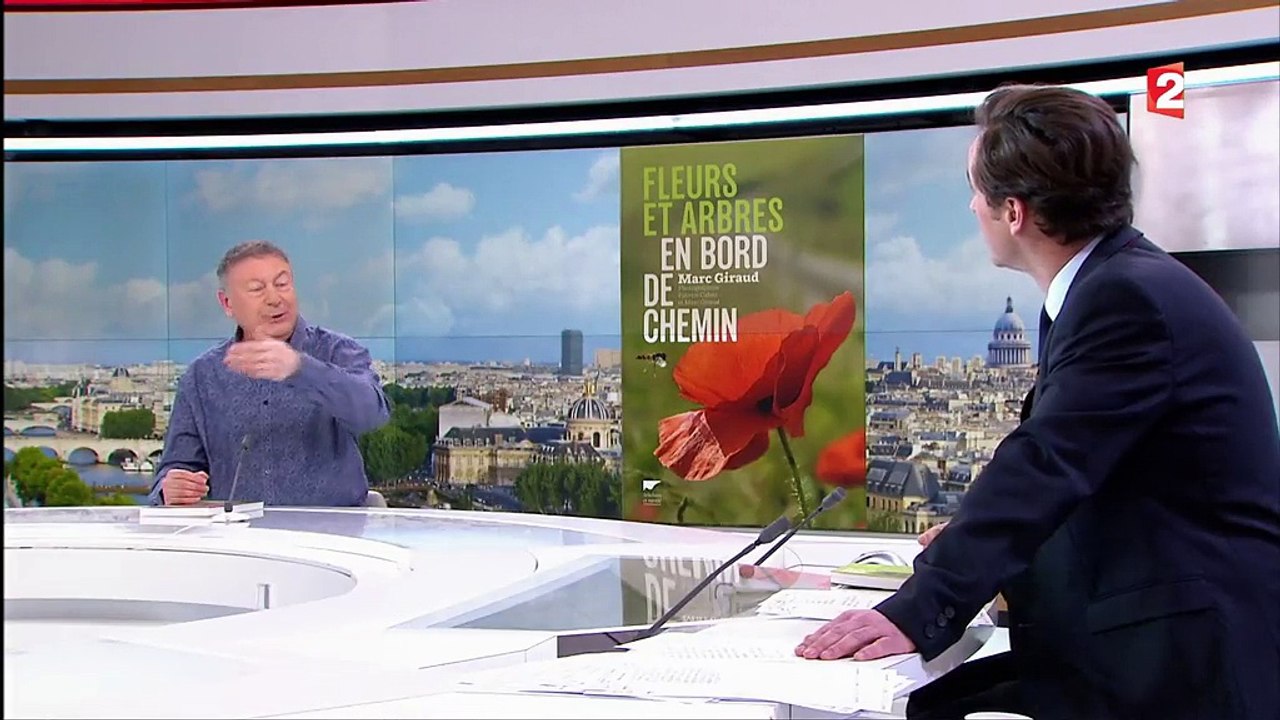 "Fleurs et arbres en bord de chemin" : Marc Giraud nous initie aux balades dans la nature