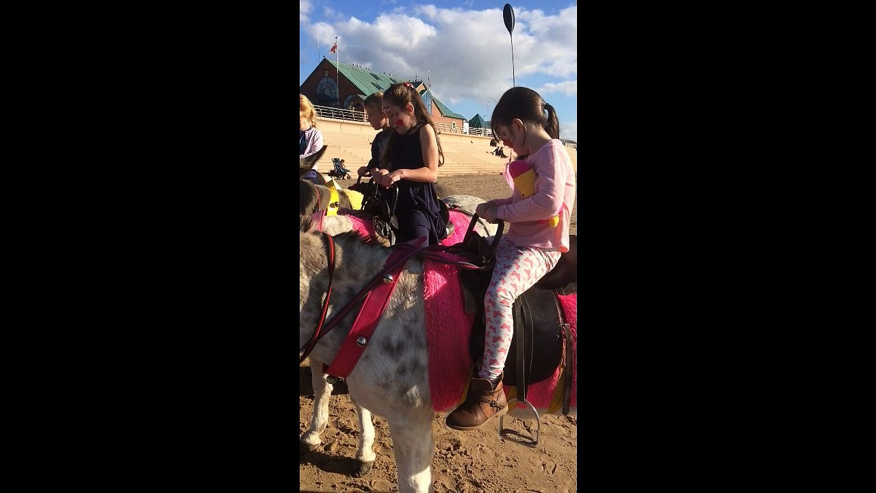 Blackpool Donkeys