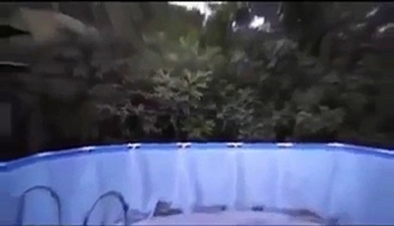 The alien in Mexico