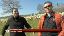 Grippe aviaire : un producteur de canards du Puy-de-Dôme au secours d’éleveurs du Sud-Ouest