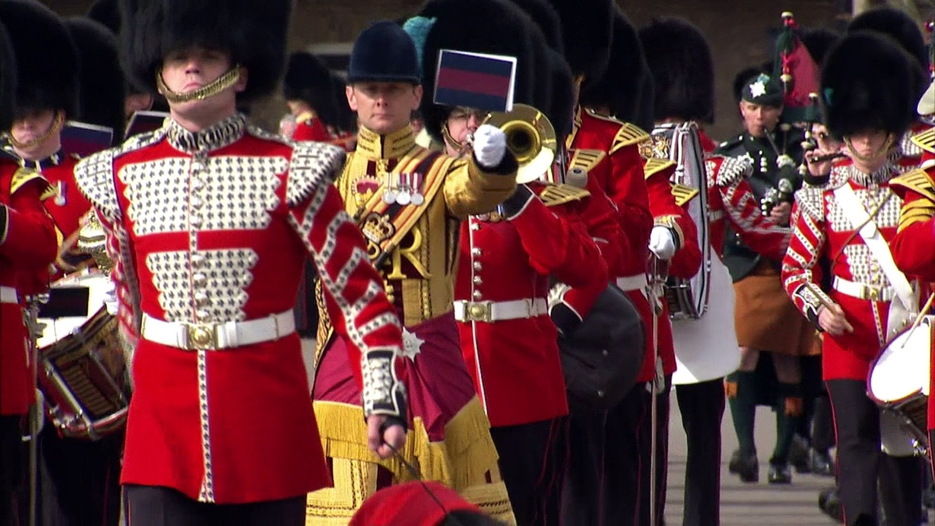 ⁣Kate pets Irish mascot dog at St Patrick's Day Parade