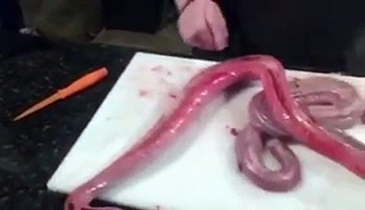 Snake revived in the kitchen