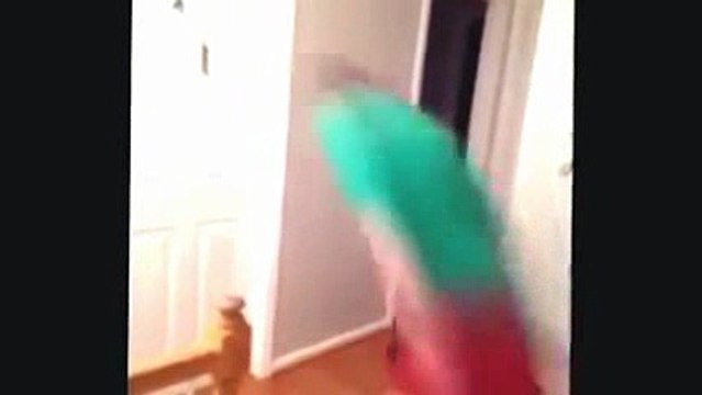 funny 2017-relax hehe _11