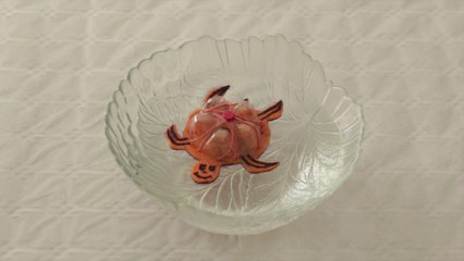 DIY : Fabriquez une tortue en recyclant un fond de bouteille