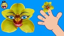 Candy Finger Family ☻ Daddy Finger Song For Kids 3D - Daddy Finger Nursery Rhymes Collecti