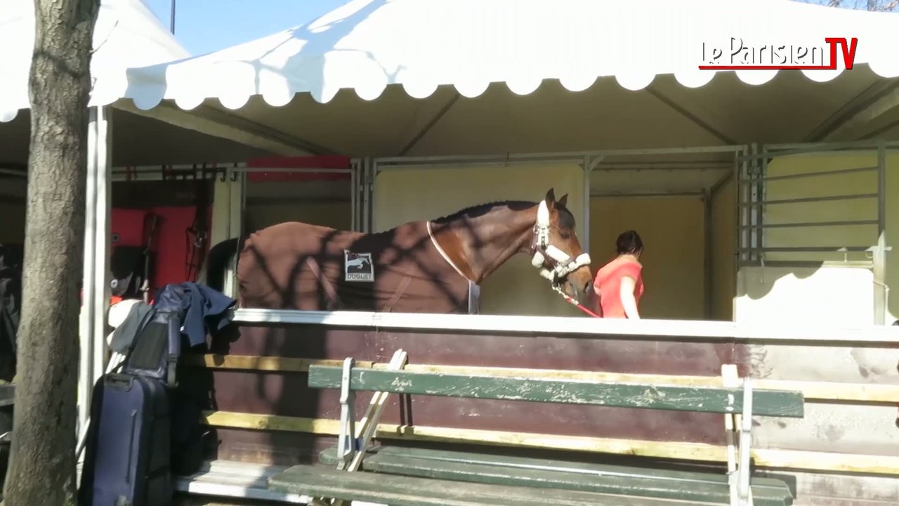 Saut Hermès : les Champs-Elysées transformés en écuries
