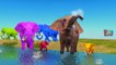 Domestic Animals Names To Learn Colors Wild Animals Finger Family Rhymes Farm animals name