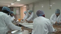 مازن عبيدو يدعم اللاجئات السوريات بصناعة الحلوى
