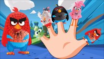 #Angry Birds #Finger Family Song ♔ Angry Birds 2016 Cartoon #Nursery Rhymes Songs for #Kid