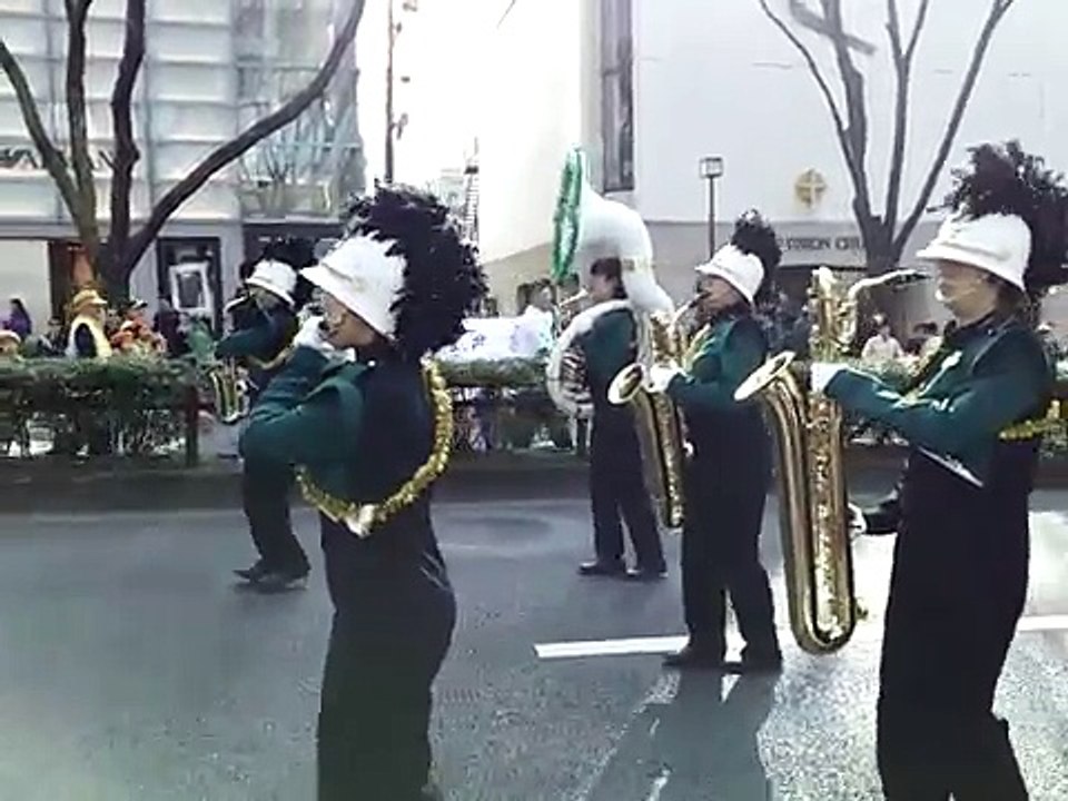 セントパトリックスデーパレード表参道20131