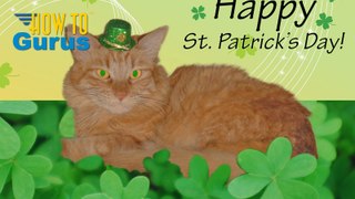 How to Put a Cat in a Custom St Patrick's Day Card in Photoshop Elements 11 12 13 14 PSE Tutorial