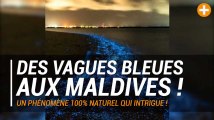 Maldives : vagues bleues, un phénomène 100% naturel