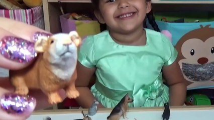 Pets Learn Animal Names and Sounds with Animal Toys Educational for Kids-Okwyp0WRm40