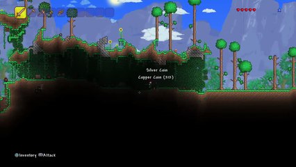 Come join me on my Terraria. Plz inv me and give me stuff
