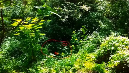 『クレイジーだ…』【白い死神】レベルが違いすぎる伝説のスナイパー 「シモ・ヘイヘ」最強伝説の全貌