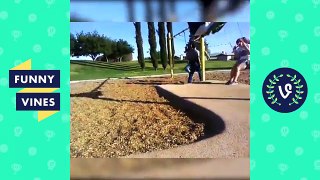 Best Fails Vines Weekly Compilation   Top Fail Vines November 2016 (2)
