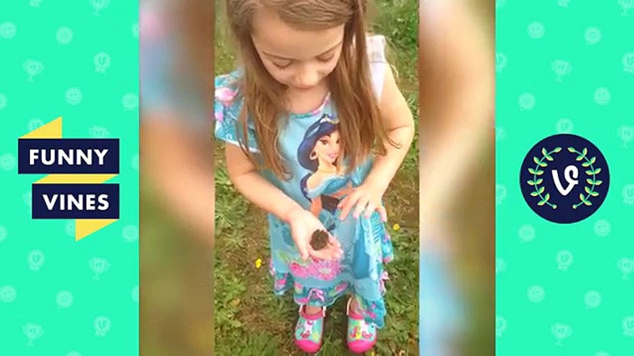 Best Fails Vines Weekly Compilation   Top Fail Vines November 2016