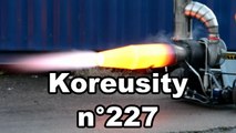 Koreusity n°227