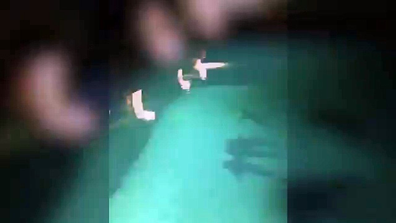 Spring Beakers jump into shark-infested pool _ 2017