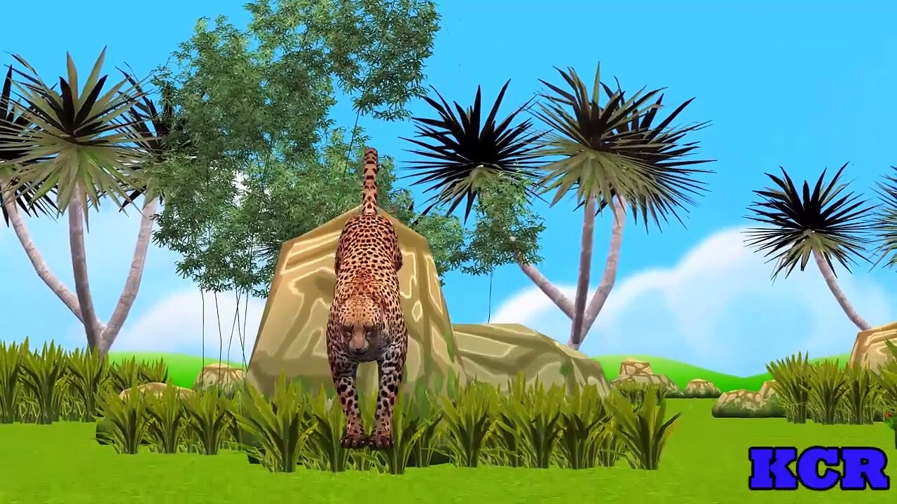 Animals Cartoons Finger Family Children Nursery Rhymes || Animal Children Nursery Rhymes C