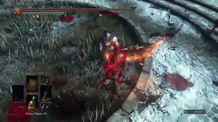 Dark souls 3 soul lvl 200 something killing and more killing (6)