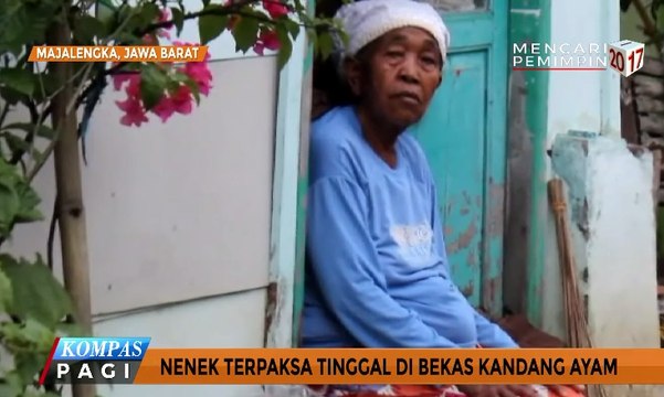 Kisah Nenek Tinggal di Gubuk Bekas Kandang Ayam
