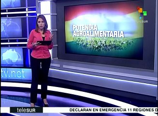 Bolivia exportará más de 100 mil toneladas de soja debido a excedente