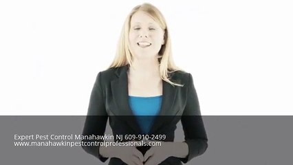Expert Pest Control Manahawkin NJ CALL 609-910-2499