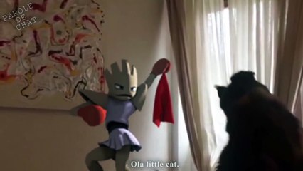 CHATS ET POKÉMON - PAROLE DE CHAT-Pyl8p6PjMvk