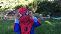 Spiderman VAMPIRE TOILET ATTACK! Frozen Elsa Spiderman Superhero Kids Videos In Real Life