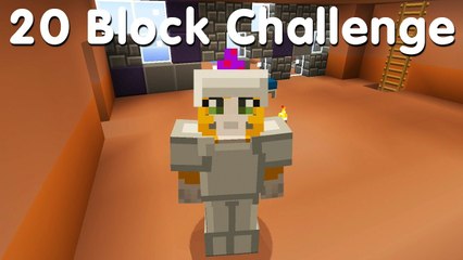 Minecraft PS4 - 20 Block Challenge - My Funky Wall (16)