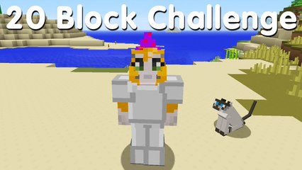 Minecraft PS4 - 20 Block Challenge - Lion Tamer (20)