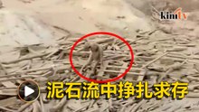 持续暴雨席卷秘鲁 女子泥石流中奋力求生