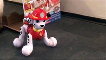 Paw Patrol Zoomer Marshall Interactive Pup Zoomer Kitty Whiskers Toys For Kids