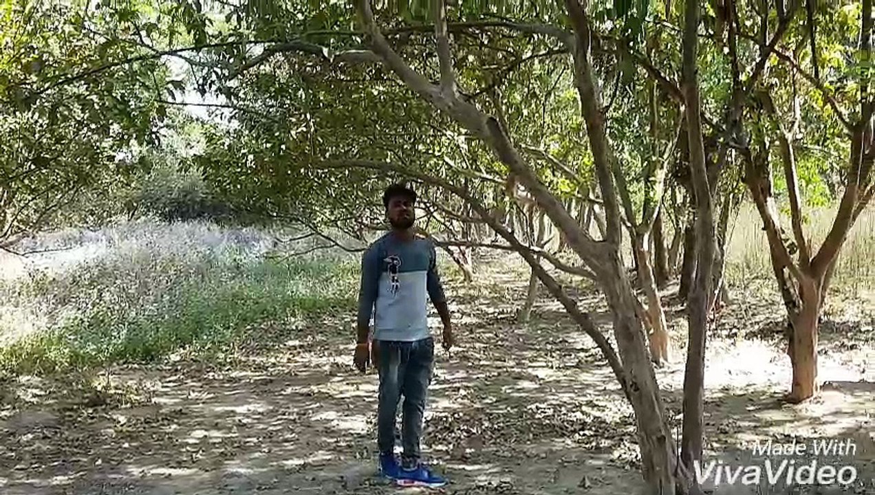 Teer Hamra Karejwa - Ravindra Chauhan