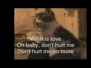 Matou feat - Nouveau clip 🎶