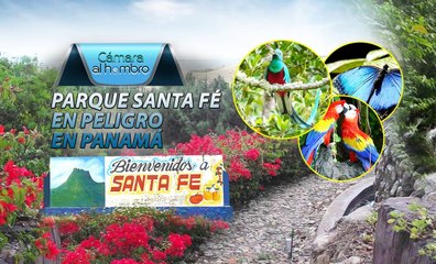 Cámara al Hombro - Parque Natural de Santa fe en peligro en Panamá
