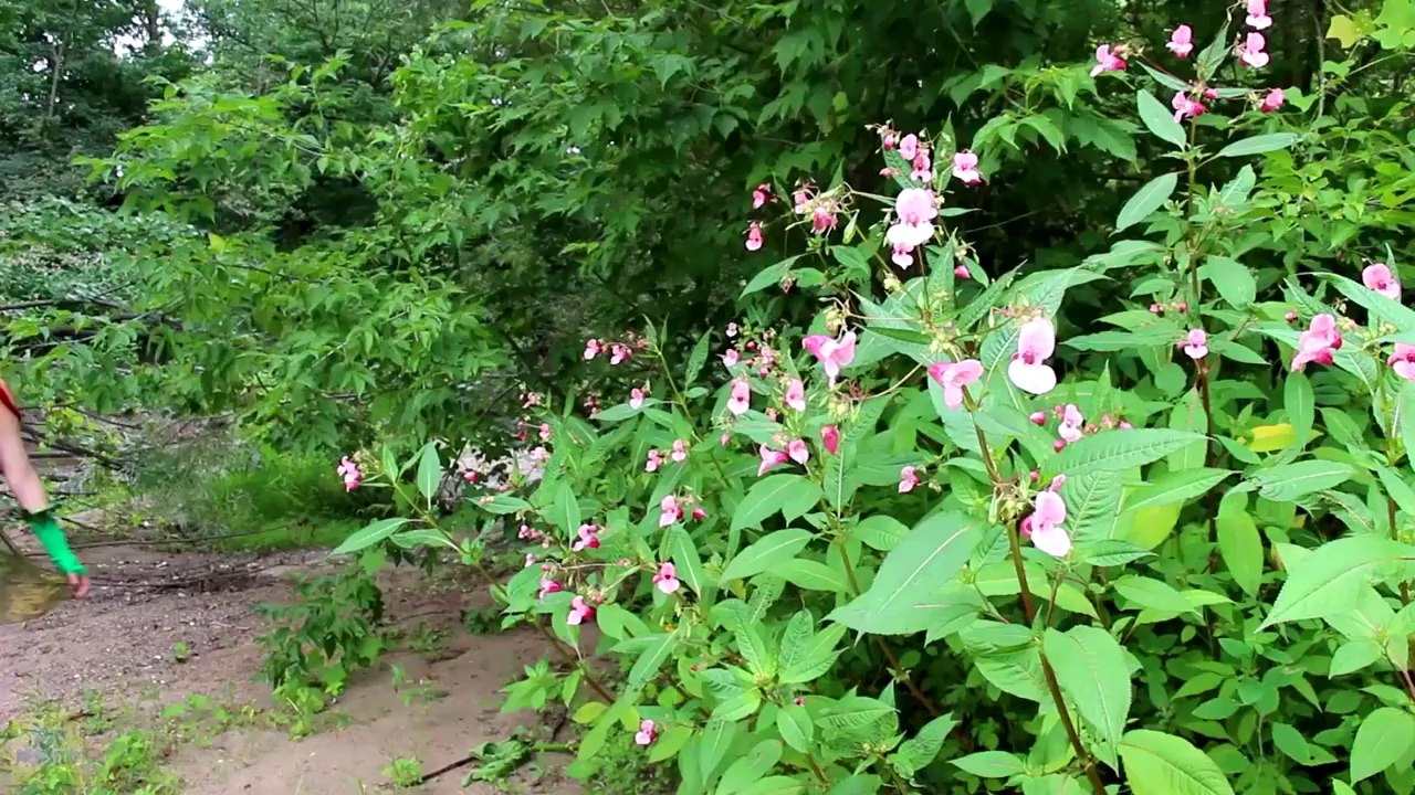 Frozen Elsa's POOL UNICORN! w_ Spiderman Pink Spidergirl Joker Princess Anna Batman Superhero Fun-5