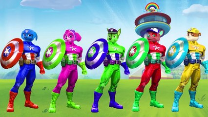Paw Patrol into Superman Hulk Spiderman Superhero Finger Family Songs - Nursery Rhymes For