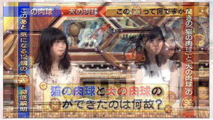 HKT48指原莉乃、松岡菜摘はスタイル以外柏木由紀に似てるね！