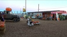 Petting ZOO at the Farm Feeding Horses and Goats Learn Animal Names for Kids-IBqvyMPi