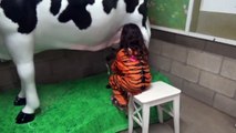 Halloween at the ZOO Animal Show Milking Cow Learn Animals for Kids-zd