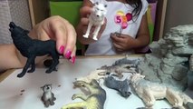 Visit at the ZOO Learn Animal Names with 4 Year Old Lilly Safari Wildlife Educational-X-9QWUG