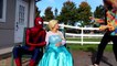 Spiderman EVIL SURPRISE! w_ Frozen Elsa Maleficent Joker Girl Spidergirl Ariel! Superheroes IRL  -)-47MkARiNN