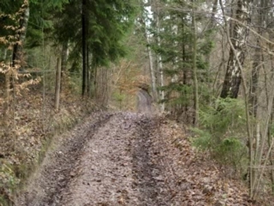 Jacno - frontiere Polono-Bielorusse
