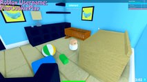 Hamsters In The House - Roblox Animal House Pets - Online Game Let's Play Random Fun Video-WModXEC
