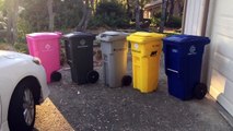 NorCal Waste Trucks Cart Update _ California Refuse Trucks-tjA