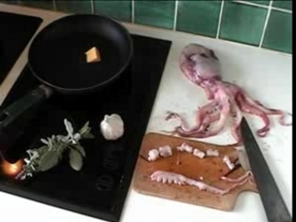 Fausse Pub Parodie Humour Le Poulpe Breton