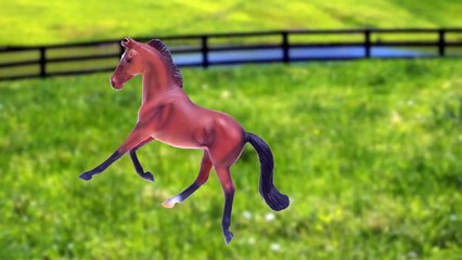 [En] Let's Make a village of animals  (pig, chinchilla, wild boar, horse, dog)  kids education-bgGSqCrd